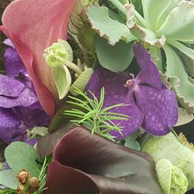 fwthumbRHS Jasmine Rays Florist 0026.jpg